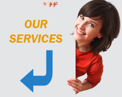 Bg Our Services